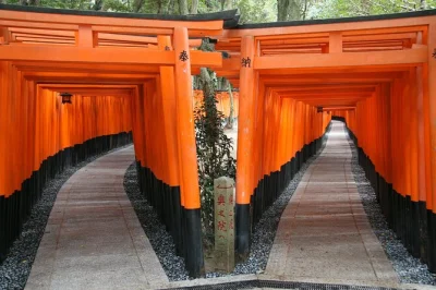 Erlebe kyoto hautnah – schlendere durch die roten tore von fushimi inari, genieße ein japanisches buffet in arashiyama und bewundere den goldenen glanz des kinkaku-ji. inklusive eintritt und englis