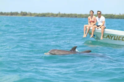 Feel the wild side of sian ka'an with a boat trip to punta allen, snorkeling the reef, fresh local lunch, and hotel pickup from tulum. small groups, real adventure.
