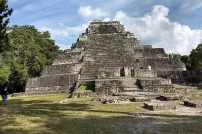 Entdecke die alten tempel von chacchoben, spaziere mit zertifiziertem guide durch schattige dschungelpfade und genieße bequemen transfer plus erfrischende getränke.