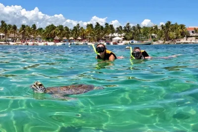 Swim beside wild sea turtles in akumal’s protected bay, guided by locals. snorkeling gear, gopro photos, and small group for a relaxed experience. includes access to facilities.