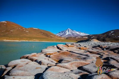 Wake up to atacama’s silence, walk piedras rojas, spot flamingos at chaxa lagoon, and share lunch in socaire. includes hotel pickup, breakfast, and local guide.