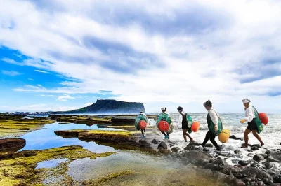 Feel jeju’s living heritage on a full-day unesco tour—watch haenyeo sea women dive, climb seongsan ilchulbong, stroll folk villages, and enjoy pickup included.