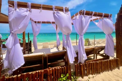 Slow down on baru island with a relaxed day at playa blanca’s mambo beach club—includes hotel pickup, lunch voucher, and a friendly bilingual guide.