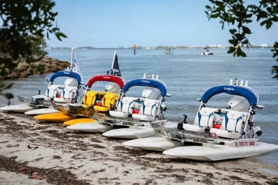 Feel the breeze on sarasota bay with a 2-hour craigcat catamaran ride, fruit cups, bottled water, and a local guide. includes safety gear and waterproof bags.
