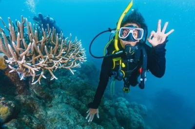 Scopri l’emozione della tua prima immersione nel mar rosso vicino a hurghada, con due soste guidate, pranzo a buffet fresco a bordo e trasferimento dall’hotel per una giornata senza pensieri.