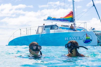 Comienza tu mañana en waikiki con snorkel en turtle canyon, café frío y un paseo en catamarán rumbo a diamond head. incluye equipo, bebidas y snacks.