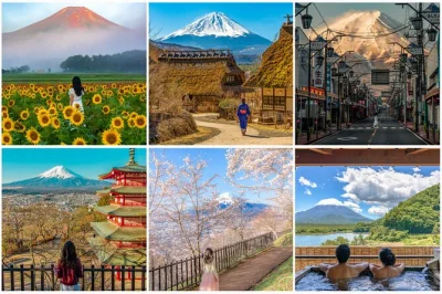 Feel the quiet power of mount fuji, climb to chureito pagoda, cruise lake kawaguchi, and wander oishi park—all with private pickup from tokyo and a local guide.