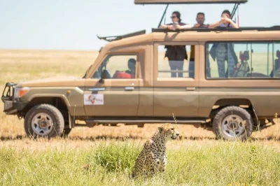 Wake up to lions in the serengeti, picnic by tarangire’s baobabs, and watch flamingos at lake manyara. includes luxury stays, all transfers, and guided game drives.