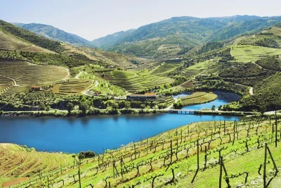 Feel the douro valley’s rhythms on a small group wine tour from porto with lunch, two tastings, and a river cruise. includes pickup and local guide.