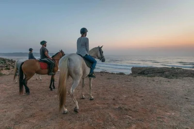 Vivi la brezza marina e il profumo dei pini in un tour a cavallo al tramonto sulla spiaggia di bordeira, con partenza da carrapateira. gruppi piccoli, caschi inclusi, prenota senza pensieri.