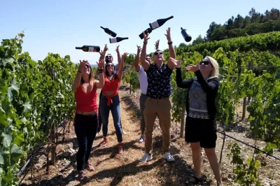 Feel the douro valley’s rhythms on a small-group wine tour from porto. taste douro doc & port wines, enjoy a river cruise, and savor a local lunch—pickup included.