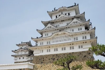 Erlebe himeji castle mit privatem guide, erklimme die alten holztreppen, lausche samurai-geschichten und genieße den ausblick über die stadt. eintritt inklusive.