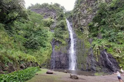 Tahiti privato: Anguille da nutrire e cascate spettacolari