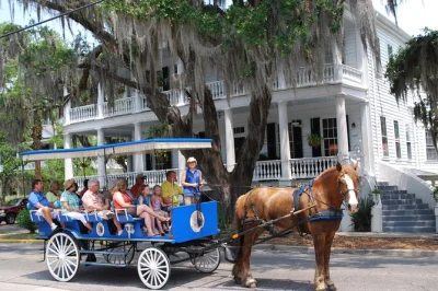 Feel the rhythm of beaufort’s past on a horse-drawn carriage tour, winding under live oaks and past antebellum homes, with stories from a local guide. includes all fees.