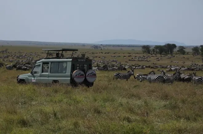 7 giorni di safari per la migrazione dei gnu nel Serengeti da Arusha