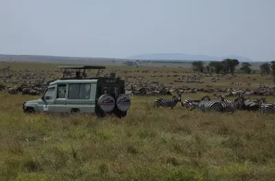 7-Day Serengeti Wildebeest Migration Tour from Arusha