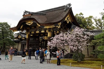 Découvrez le palais impérial de kyoto et le château de nijo avec un petit groupe et un guide local. histoires, jardins, horaires flexibles et billets d’entrée inclus.