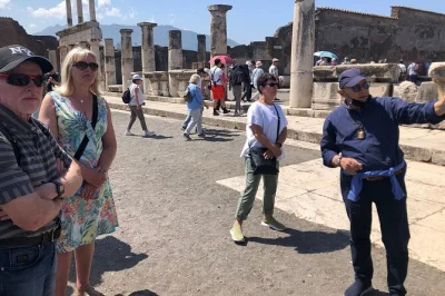 Step onto the local train from sorrento and skip the lines at pompeii with a knowledgeable guide. includes entrance, return tickets, and listening devices.