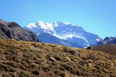 Feel the andes on a full-day mendoza tour—potrerillos, uspallata, puente del inca, and aconcagua park. includes pickup, local guide, and border town stops.
