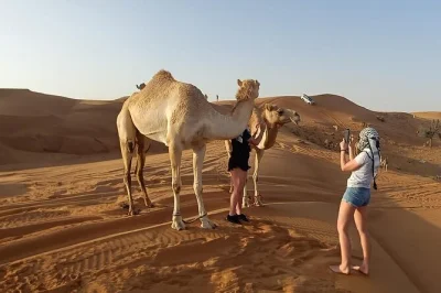 Wake up early for a private dubai morning desert safari with dune bashing, sandboarding, camel ride, and pickup included. small group adventure with local guide.