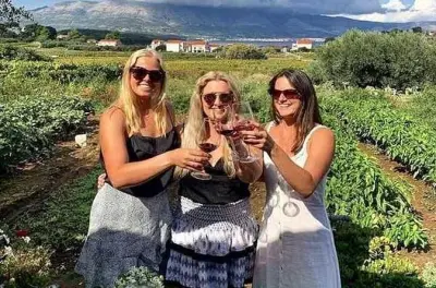 Tour de vino en Korčula: Recorrido privado con degustaciones