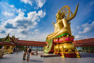 Feel the spirit of koh samui on a minivan tour—big buddha temple, na muang waterfall, mummified monk, and more. includes hotel pickup and local guide insights.