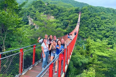 Step into korea’s tense history on a dmz day trip from seoul—walk the third tunnel, gaze at north korea from dora observatory, and travel with a local guide.