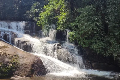 Feel the atlantic forest on a private paraty waterfalls day trip, taste local cachaça at a working distillery, and enjoy lunch by tarzan waterfall. includes pickup.