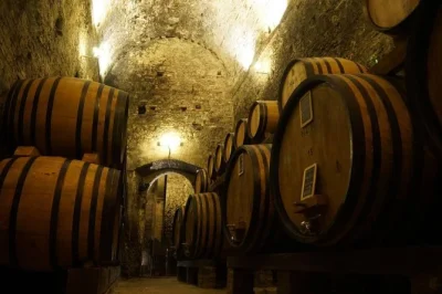 Step into montepulciano’s ancient cellars for a guided wine tasting of docg reds, explore etruscan tunnels, and enjoy bruschetta with local olive oil. includes cellar tour.