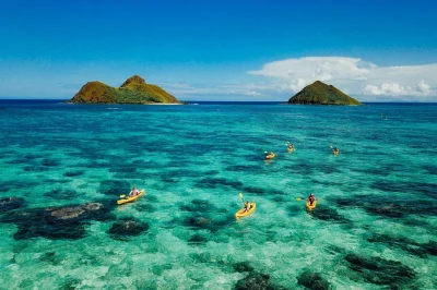 Partez de kailua bay vers les îles mokulua, faites du snorkeling sur des récifs vivants et explorez des bassins de marée avec un guide local. déjeuner, équipement de snorkeling et transfert hôte