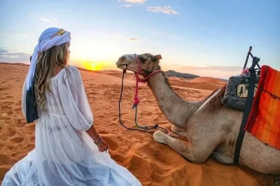 Feel the rush of dubai’s red dunes with quad biking, camel rides, dune bashing, and sandboarding. includes hotel pickup, expert guides, and all fees.