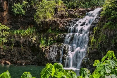 Découvrez oahu en une journée : départ de waikiki, dégustation de café kona, baignade à la cascade waimea, et crevettes à l’ail sur la north shore. guide local et entrée inclus.