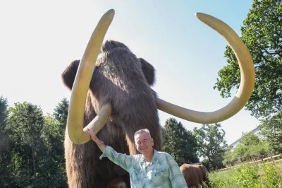 Descubre hoo zoo y dinosaur world en telford con más de 100 animales, dinosaurios animatrónicos y charlas interactivas. entrada todo el día y acceso para sillas de ruedas.