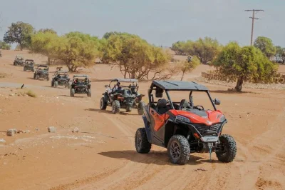Descubre souss-massa en un safari en buggy desde agadir o taghazout con guías locales, bosques de argán y una pausa para té bereber. recogida en hotel incluida.