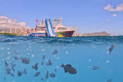 Découvrez waikiki en croisière snorkeling avec observation de tortues, toboggan à deux étages et snacks. Équipement de plongée et boissons inclus pour tous les âges.