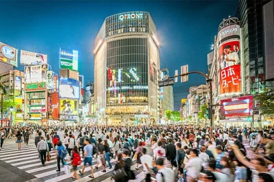 Feel the pulse of shibuya on a walking tour with a local guide. cross the iconic intersection, wander secret alleys, and relax in lively izakaya. includes entrance fees and photos.