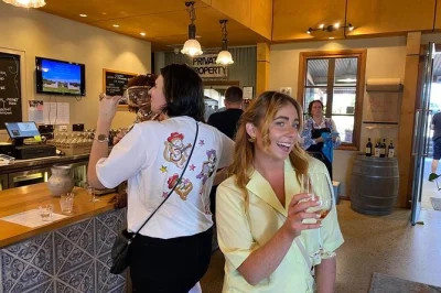 Scopri i vini freschi di yarra valley, visita le migliori cantine, goditi panorami tra i vigneti e rilassati con il trasporto da melbourne. degustazioni e pickup inclusi.