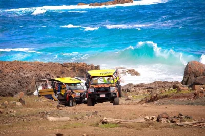 Feel aruba’s wild side on a full-day jeep safari to the natural pool, baby beach, and historic ruins. includes snorkel gear, homemade bbq lunch, and local guide.