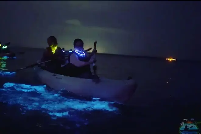 Kayaking Bioluminescent Waters: Titusville, Florida