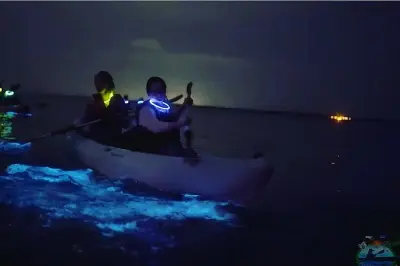 Kayaking Bioluminescent Waters: Titusville, Florida