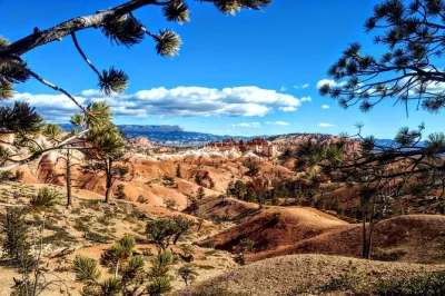 Feel the scale of bryce canyon on a 3-hour small group tour with local guides, snacks, and stories. includes pickup, bottled water, and expert insights throughout.