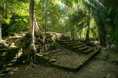 Step off your cruise in costa maya and join a guided day trip to chacchoben’s ancient ruins. small groups, round-trip port pickup, drinks included for a relaxed visit.