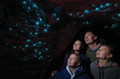 Step into te anau’s glowworm caves, cruise lake te anau, and drift beneath thousands of blue lights. includes tea, coffee, and a local guide with easy booking.