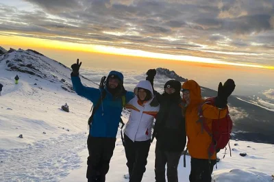Feel the rainforest mist, climb barranco wall, and watch sunrise from uhuru peak on an 8-day kilimanjaro trek via lemosho route—includes hotel stays and private transfers.