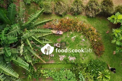 Descubre el valle paopao en moorea cocinando con locales, probando leche de coco fresca y disfrutando un almuerzo en un jardín tropical. incluye comida y todos los gastos.