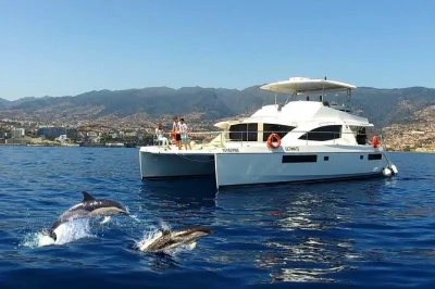 Toast with portuguese wine, spot dolphins & whales off madeira, swim by cabo girão. includes drinks, snacks, snorkeling gear, and pickup from funchal marina.
