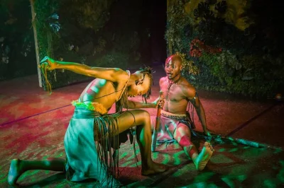 Lose yourself in victoria falls’ simunye theatre show—puppetry, music, and dance under the stars. includes ticket, central location, and chance to meet the cast.