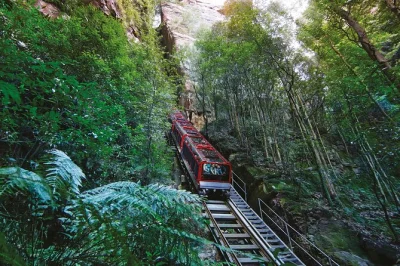 Wake up to wild valleys, ride the world’s steepest railway, snap a koala selfie, and end with a ferry under the harbour bridge—includes hotel pickup & all entry fees.