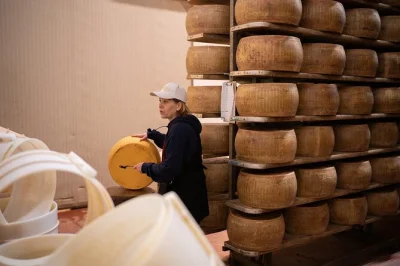 Comece em bologna provando parmigiano reggiano em modena, visite adegas de vinagre balsâmico, faça degustações na vinícola de lambrusco e aproveite um almoço típico modenês. transporte incluso
