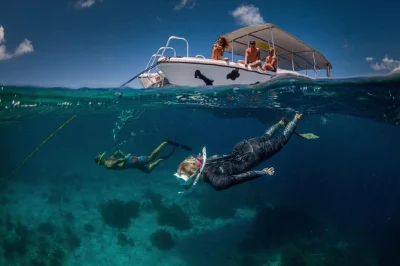 Feel bonaire’s reefs up close on a small group snorkel tour, with gear, homemade snacks, and a local guide. includes two stops, photos, and refreshments onboard.